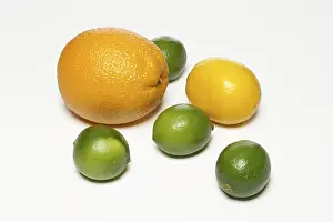 Fruit Nutrition Drucke: Top view of lemon, lime and orange on a white background with shadow