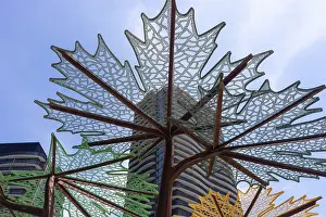 Drucke von Ein Blick nach oben auf große metallische Skulpturen in Form von Ahornblättern, mit einem modernen Hochhaus und blauem Himmel im Hintergrund Straßenkunst Graffiti Drucke: Ein Blick nach oben auf große Metallskulpturen in Form von Ahornblättern.