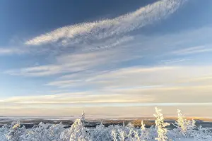Natural Preserve Lapland Province Drucke: View of marshland in the mountains