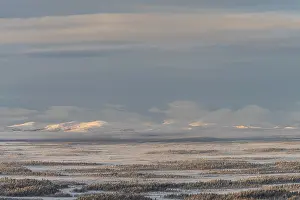 European Wilderness Area Drucke: View of marshland in the mountains