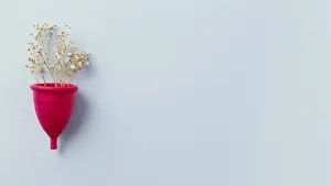 Waste Separation Methods Drucke: Top view menstruation cup