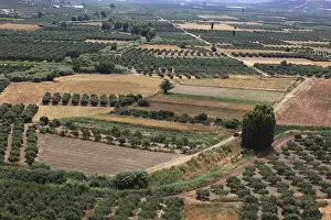 Southeastern European Landscape Drucke: View over the Mesara plain, valley with olive trees