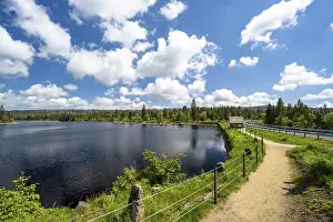 Harz Mountains Landscape Drucke: A view of the Oderteich in the Harz Mountains under a blue sky