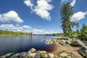 Harz Mountains Landscape Drucke: A view of the Oderteich in the Harz Mountains under a blue sky