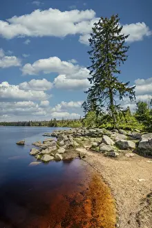 Harz Mountains Landscape Drucke: A view of the Oderteich in the Harz Mountains under a blue sky
