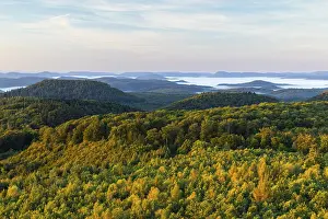 Palatinate Forest View Drucke: View over the Palatinate Forest