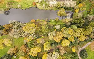 Northern Europe Autumn Landscape Drucke: Top Down view of Park, Pond and Trees in the colors of fall over Devon