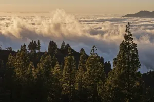 Caldera De Taburiente Landscape Drucke: View onto Passat clouds above the Valle Aridane