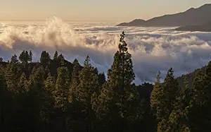 Caldera De Taburiente National Park Drucke: View onto Passat clouds above the Valle Aridane