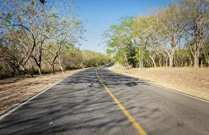 Atmospheric Evening Light Shot Drucke: View of a paved road surrounded by trees at sunset