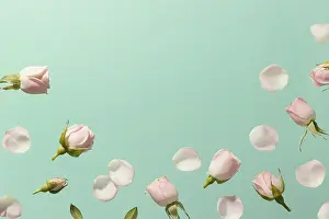 Text Free Space With Flowers Drucke: Top view pink spring roses with copy space