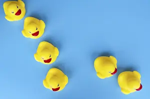 Customizable Space For Text Drucke: Top view of rubber ducks with customizable space for text
