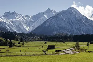 Central Europe Winter Landscape Drucke: View from Rubi towards Oberstdorf