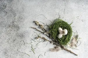 Fresh Green Grass Drucke: Top view of a rustic Easter setting featuring a nest made of fresh green grass