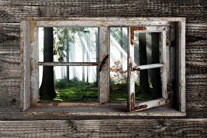 Black Forest Scenery Drucke: View through a rustic wooden window into the cloud forest