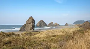 American Coastal Scenery Drucke: View over sandy beach with dunes and large rocks