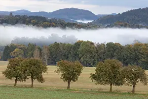 Central Europe Nature Reserves Drucke: View towards the Schrammsteien