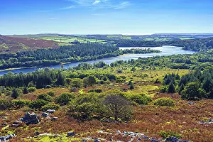 England Nature Reserves Drucke: View from Sharpitor to Burrator Reservoir