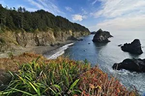 Deserted Rocky Shoreline Drucke: View from Sisters Rocks Viewpoint