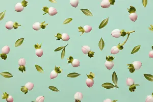 Embellished Floral Decoration Drucke: Top view spring flower buds