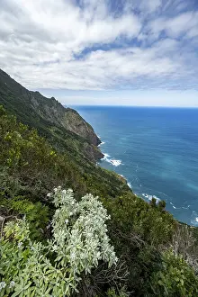 Uninhabited Rocky Escarpment Drucke: View of steep cliffs overgrown with forest