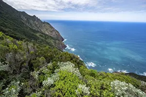 Madeira Landscape Drucke: View of steep cliffs overgrown with forest