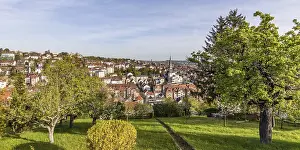 Central Europe Gardens Drucke: View of Stuttgart-Gablenberg district