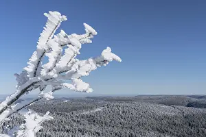 Snowy Winter Landscape Germany Drucke: View from the summit of the Hornisgrinde