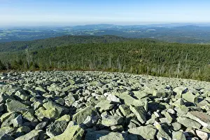 Central Europe Nature Reserve Drucke: View from the summit of the Lusen