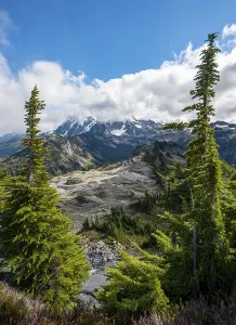 Mt Shuksan Snowy Peak Drucke: View from Table Mountain of Mt