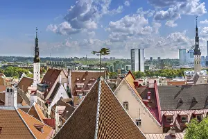 Drucke von Blick auf das alte Tallinn von der Toompea-Hügel, Estland Estland Drucke: Blick auf das alte Tallinn von der Toompea-Höhe.