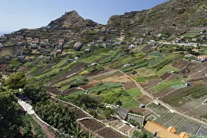 No People In Madeira Island Drucke: View of terraced fields in Camara de Lobos