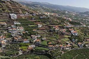 Madeira Portugal Drucke: View of terraced fields in Camara de Lobos