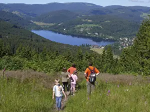German Federal Republic Waterfront Scene Drucke: View of Titisee, Barental