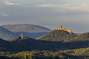 Trifels Castle Germany Drucke: View of Trifels Castle and Anebos Castle