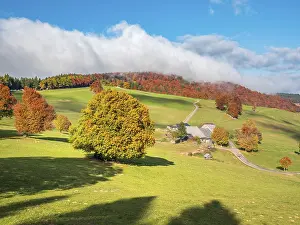 Cloudy Blue Sky Photo Drucke: View of typical Black Forest landscape