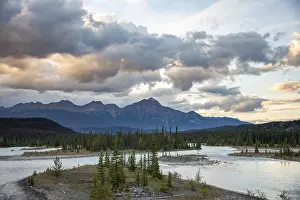 Jasper National Park Drucke: View of a valley with river in evening mood