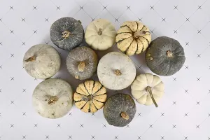 Halloween Decorations Drucke: Top view of various different green