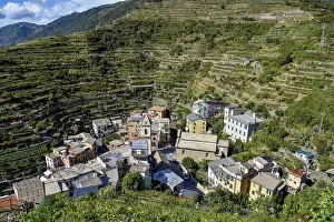 Cinque Terre Italy Drucke: View of the village of Manarola