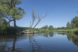 Drucke von Blick auf die Vltava aus einem Kanu, Zelnava, Jiho?eský kraj, Tschechische Republik Blick auf die Vltava aus einem Kanu, Zelnáva, Jiho?eský kraj, Tschechische Republik Fluss Drucke: Blick auf die Vltava aus einem Kanu.