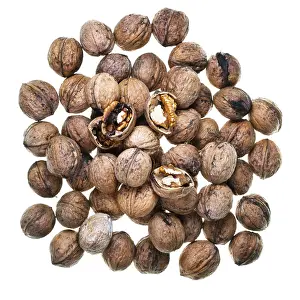 Studio Shot Of Walnuts Drucke: Top view many walnuts isolated on white background