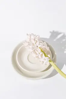 Top View Of Tableware Drucke: Top view of white ceramic cups