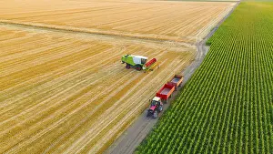 Field Cultivation Process Drucke: Above view of worker as he removing the leftovers of plants