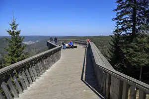 Southern Germany Viewpoint Drucke: Viewing platform at Ellbachsee