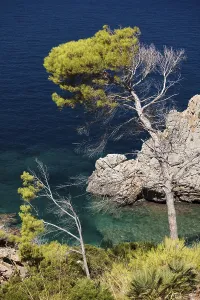 Balearic Islands Scenery Drucke: Views of the bay of Pollenca, Majorca