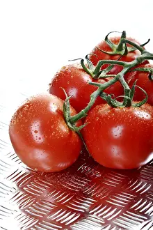 Studio Shot Of Tomatoes Drucke: Vine tomatoes