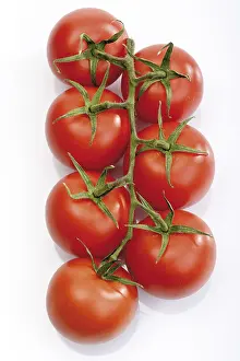 Tomato Nutrition Drucke: Vine tomatoes, truss