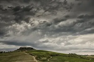 Agricultural Crop Europe Drucke: Vineyards in Tuscany under a dramatic cloudy sky