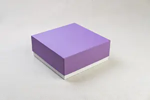 Birthday Present Wrapping Ideas Drucke: Violet cardboard gift box