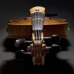 Empty Studio Background Image Drucke: Violin
